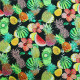 Tissu coton imprimé Pynia Multicolore