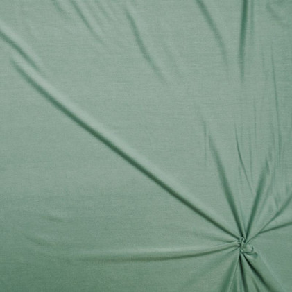 Tissu jersey de bambou Uni Vert pale
