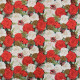 Tissu patchwork Noël Foliage rose Blanc / Rouge