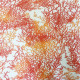Tissu nappage enduit 175cm imprimé Calédonie Rouge corail