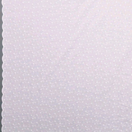 Tissu voile de coton Brodé Blanc