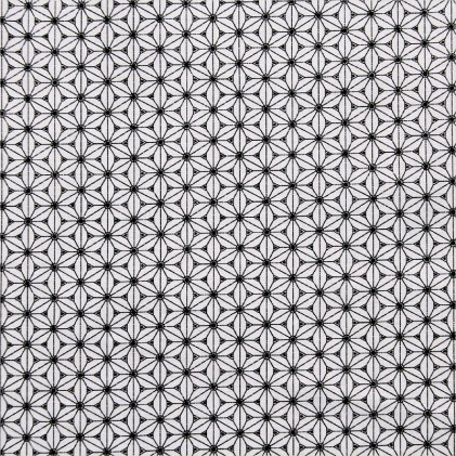 Coton imprimé Fuji  Noir / Blanc