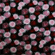 Tissu jersey Floral Rose / Noir