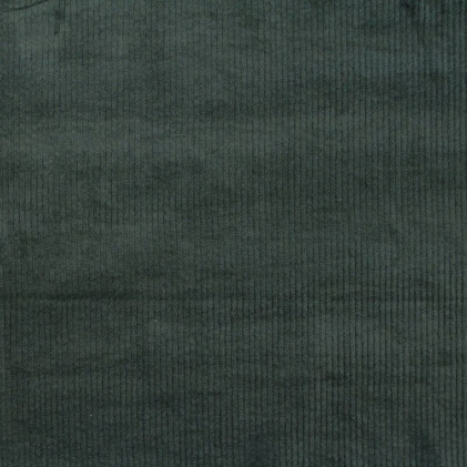 Tissu velours de coton grosses côtes Kooly Vert de gris