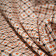 Tissu coton imprimé Morocco Orange